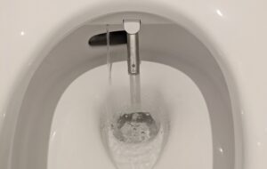 便器の中でノズルから吐水している温水洗浄便座